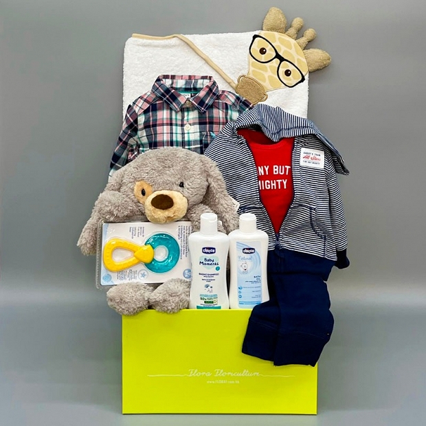 B310 Baby Boy Hamper